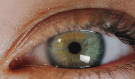 retina