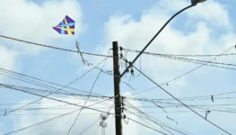 0ea73224-bfea-42ca-9d06-c8a200ca485a