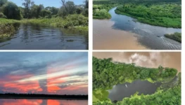 Ecoregiões_01_Opção.jpg