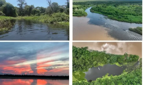 Ecoregiões_01_Opção.jpg