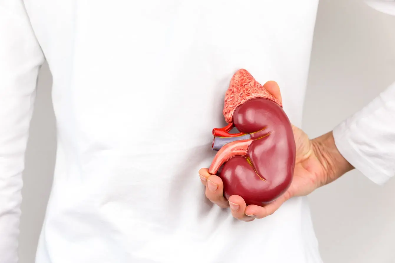 Doenca-renal-cronica-Hilab-1