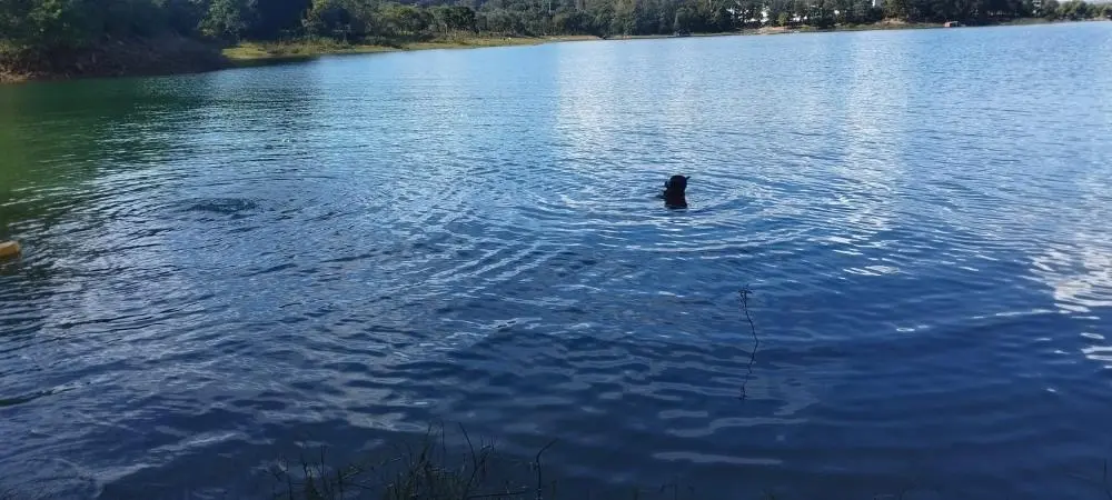 Bombeiros encontram corpos de duas vítimas de afogamento no Lago Corumbá