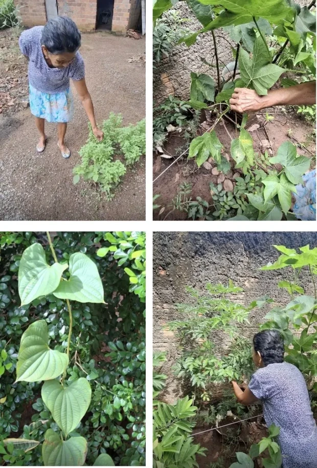 Fig03_Sobiobiodiversidade.jpg