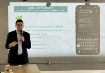Canal Whatsapp governo.