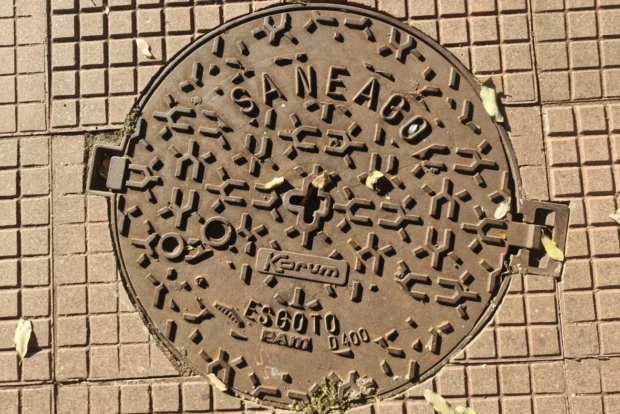 Tampa da Saneago é verdadeira obra de arte Foto Marcio Fernandes 2026 1300