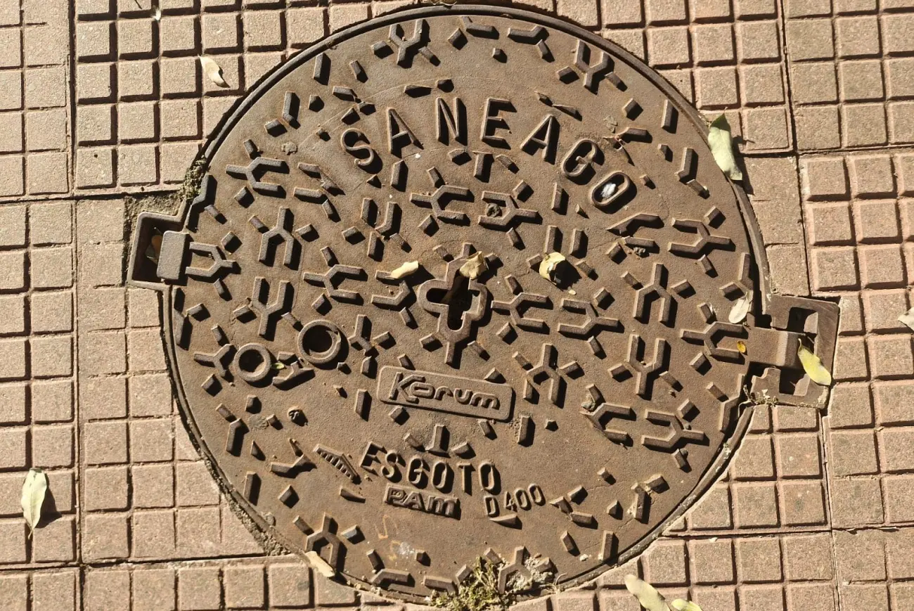 Tampa da Saneago é verdadeira obra de arte Foto Marcio Fernandes 2026 1300