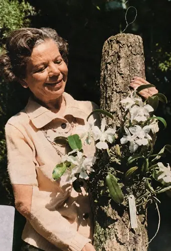 Amália Hermano e uma de suas apreciadas orquídeas Foto acervo da família500