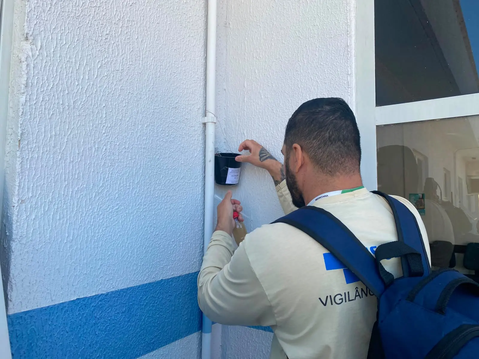 Mais de 290 mil ovos do Aedes já foram encontrados em armadilhas de Aparecida