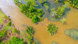 Fenomeno-El-Nino-volta-a-se-formar-e-acende-alerta-para-impactos-climaticos-750x375