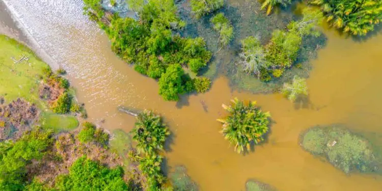 Fenomeno-El-Nino-volta-a-se-formar-e-acende-alerta-para-impactos-climaticos-750x375