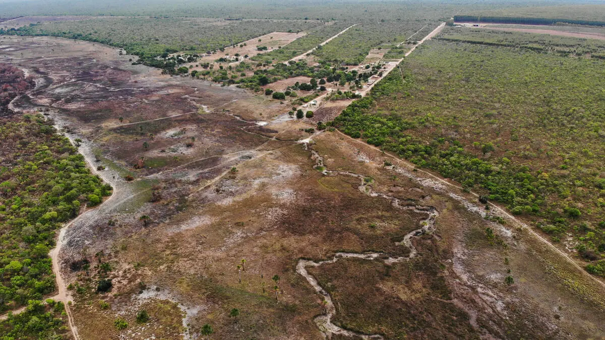 Capa-Cerrado-‘Facil-e-‘legal-desmatamento-no-Cerrado-bate-recorde-e-avanca-sem-resistencia
