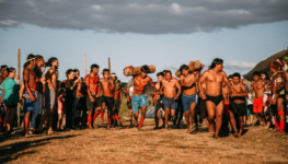 indigena