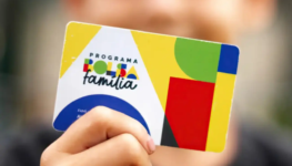 Bolso família ok2 1300 p 800
