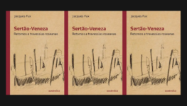 Jacques Fux livro sobre Guimarães Rosa ok3