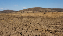 cop17-da-desertificacao-comeca-na-mongolia-com-foco-em-solo-seca-e-pastagens-1200x675
