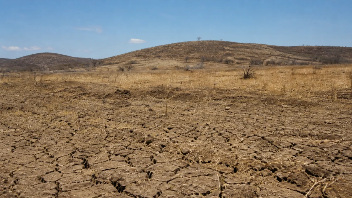 Planeta pode ter 40% das terras em áreas secas até 2100; Brasil está entre regiões mais afetadas