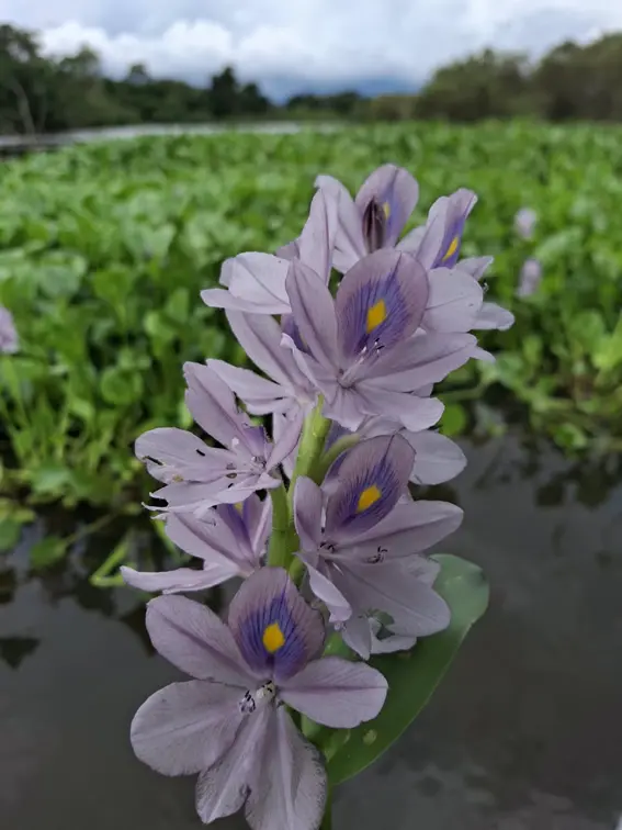 1789168505-image.webp