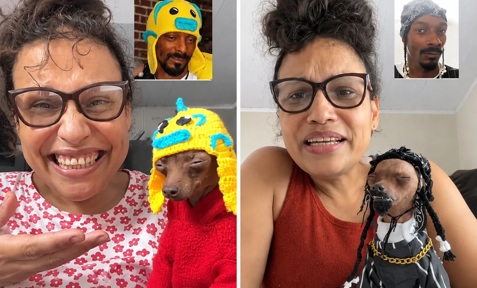 ‘Snoop doguinho’: pinscher goiano viraliza com fantasia de rapper