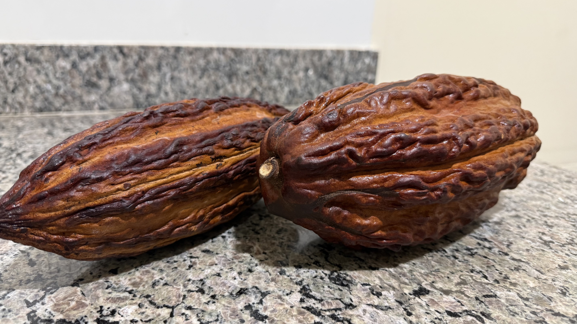 Startup de Goianira desenvolve primeiro chocolate sem gordura do mundo