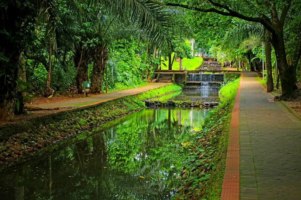 Goiânia Cidade Vida Verde: a cidade precisa de suas ágoras contemporâneas