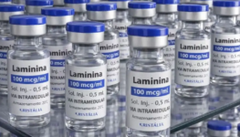 polilaminina