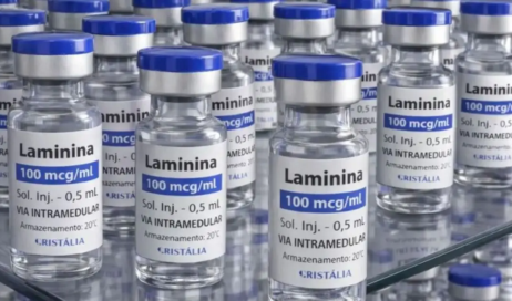 polilaminina