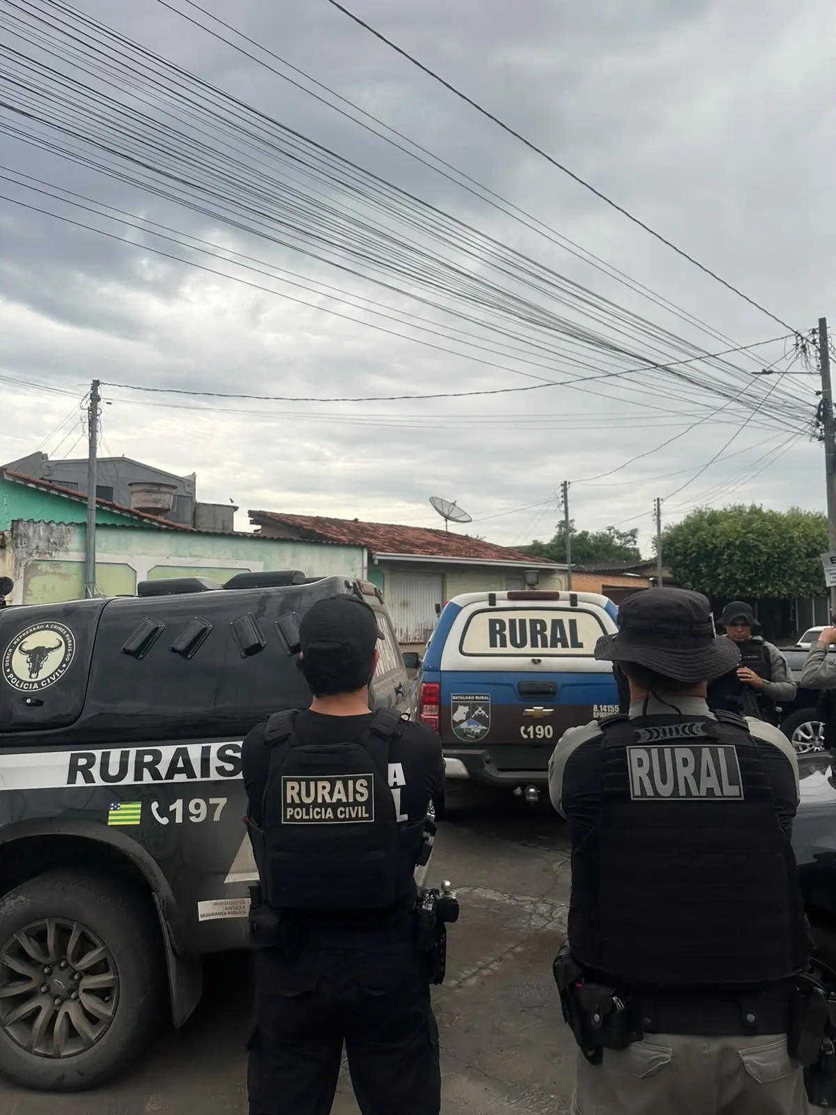 FURTO DE GADO: Operação cumpre 14 mandados contra grupo criminoso que atuava em GO e MT