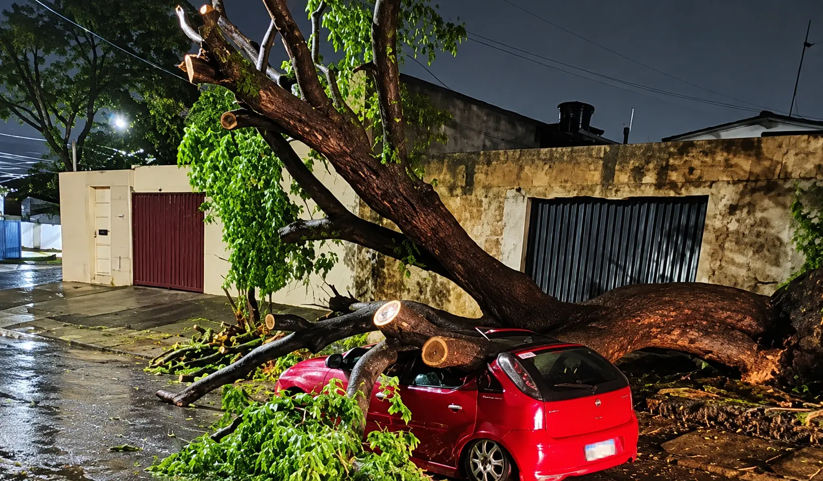 Goiânia registra 12 quedas de árvores e galhos após temporal