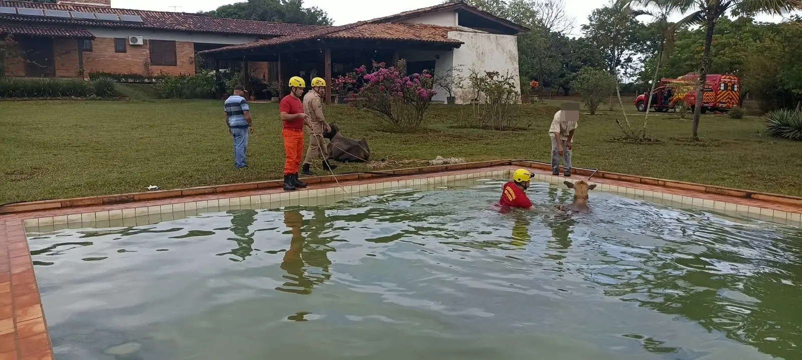 WhatsApp Image 2026-10-06 at 15.19.54