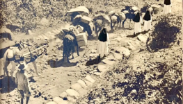 Foto antiga reconstruída por IA com a inclusão de quatro irmãs dominicanas 1270