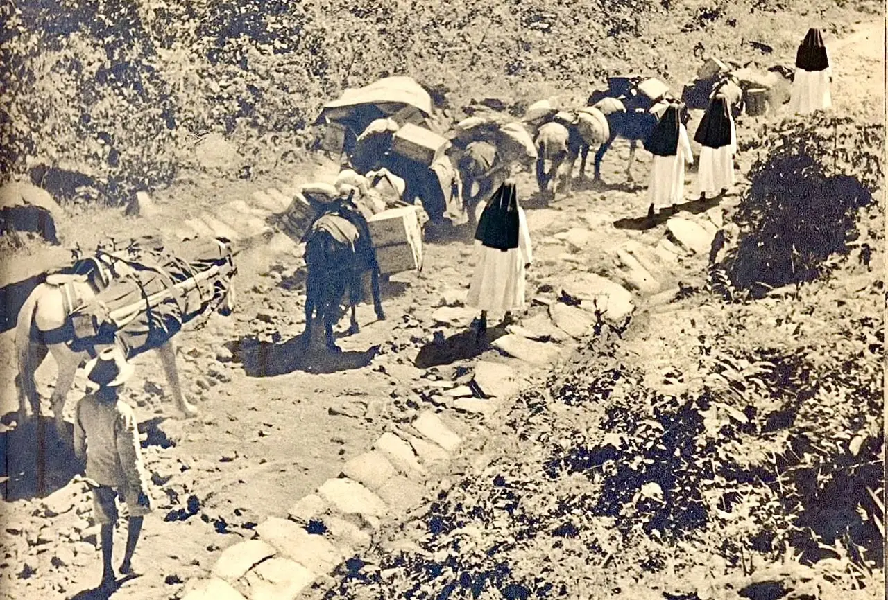 Foto antiga reconstruída por IA com a inclusão de quatro irmãs dominicanas 1270
