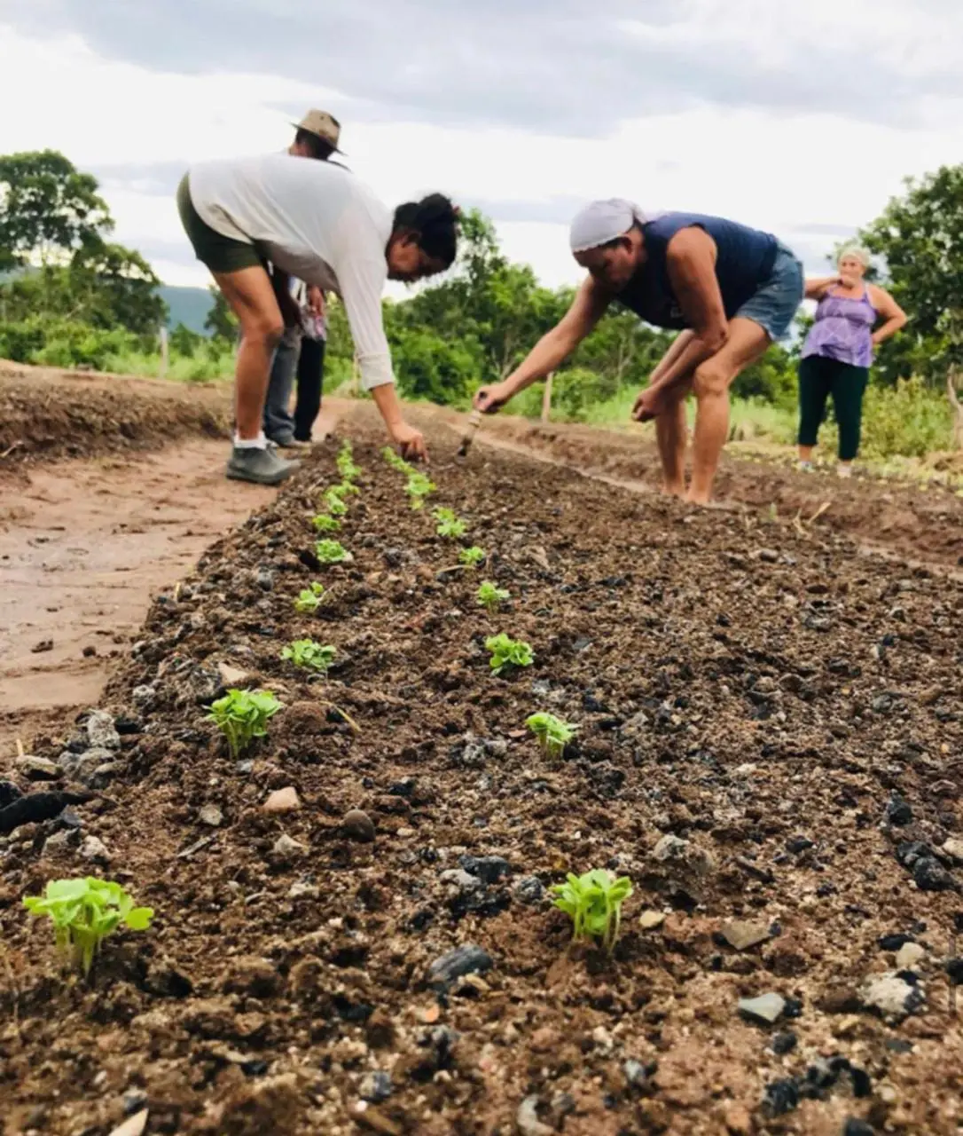 Horta comunitária fortalece a autonomia de mulheres camponesas e amplia o acesso à alimentação saudável em Goiás