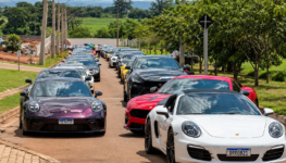 Comboio de Luxo em Estrada Verde
