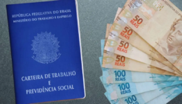 mt-quando-cai-a-primeira-parcela-do-decimo-terceiro-salario-carteira-de-trabalho-e1761922697809
